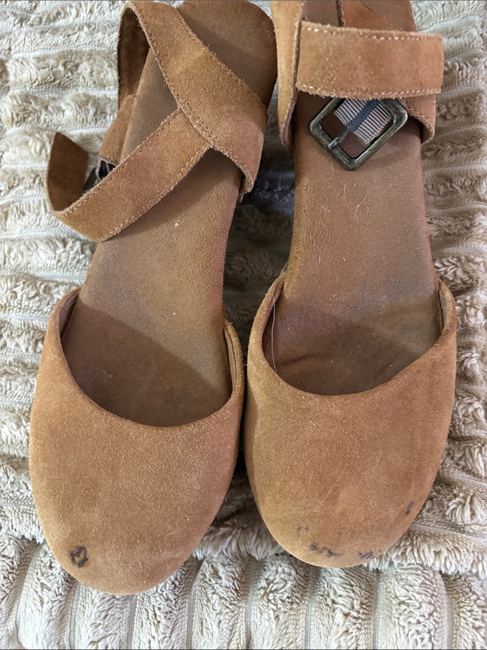 House of Harlow 1960 | Shoes | House Of Harlow 96 Cherub Suede ...
